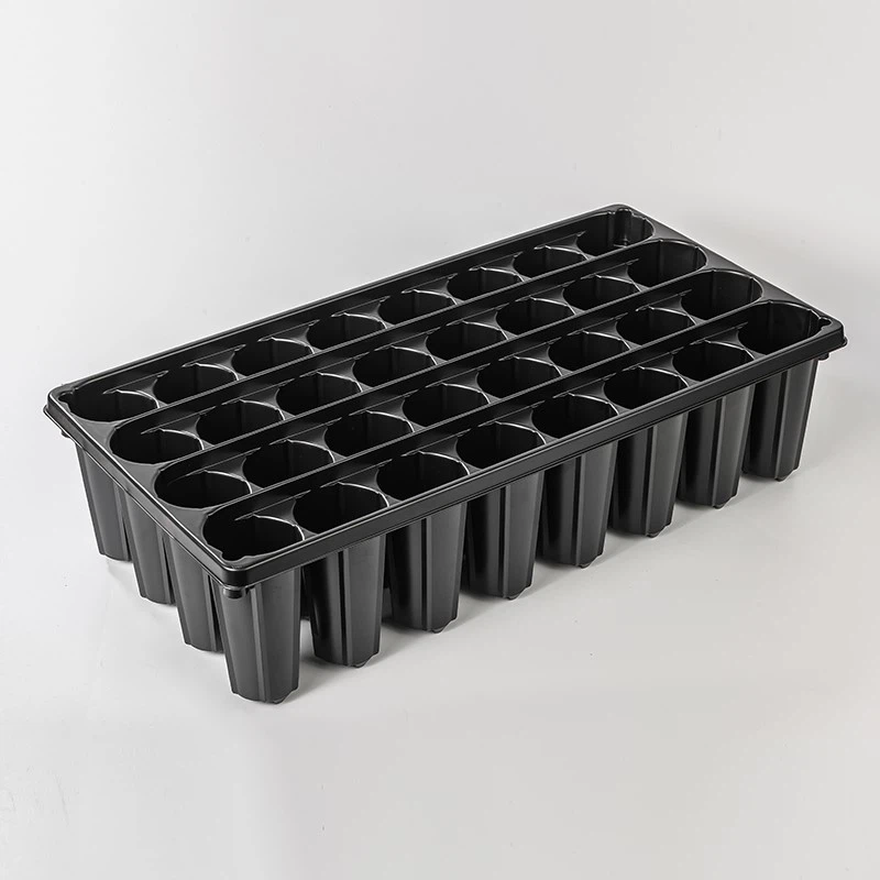 product-800-800
